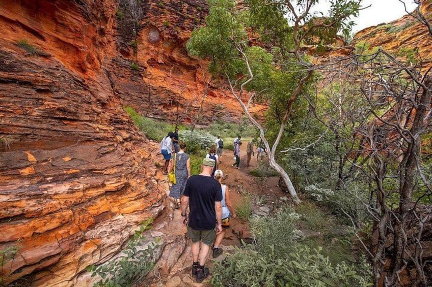 Mirima Walk: Aboriginal Culture & Country 3