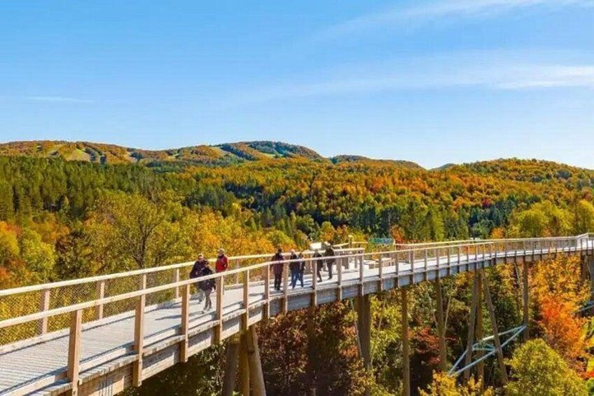 Sentier des Cimes Laurentides Trail 2