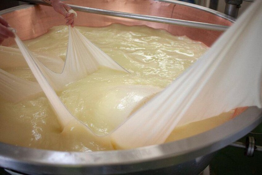 Parmesan Cheese Tour and Tasting in Modena 3