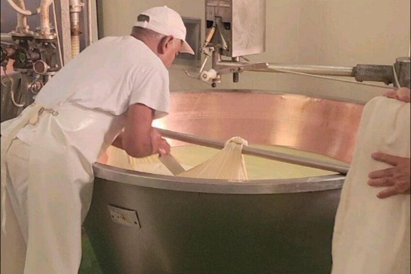 Parmesan Cheese Tour and Tasting in Modena 2
