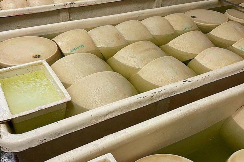 Parmesan Cheese Tour and Tasting in Modena 4