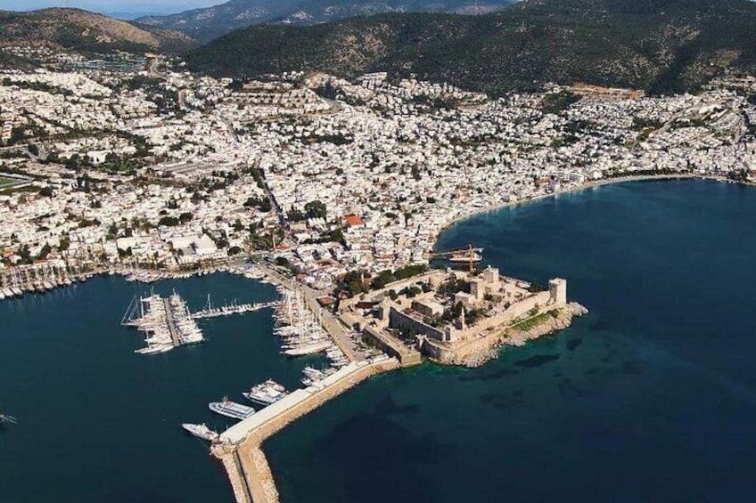 Panoramic 5