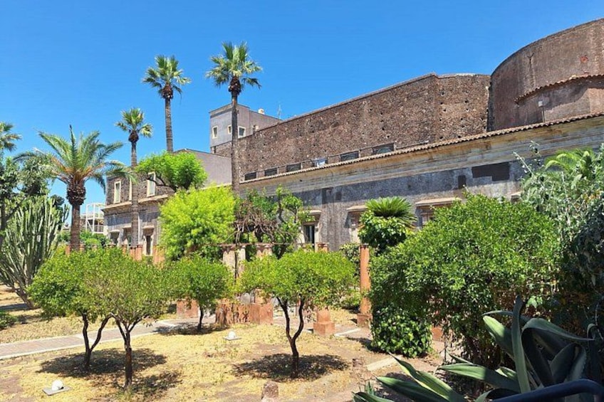 Un patio con palmeras, un edificio de ladrillo y un cielo azul despejado. 4