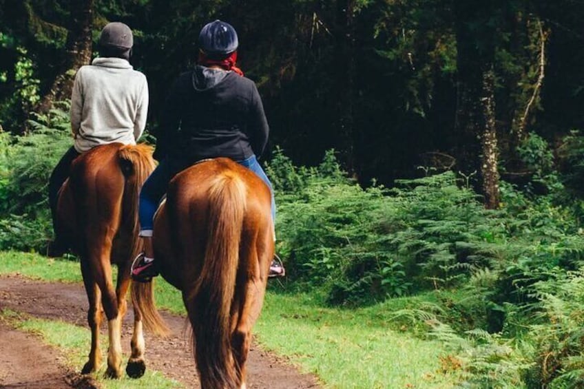 To personer rider på heste ad en grussti omgivet af tæt grøn vegetation. 1