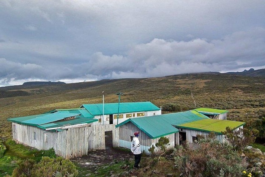 A wooden structure with green roofs in a grassy landscape. 2