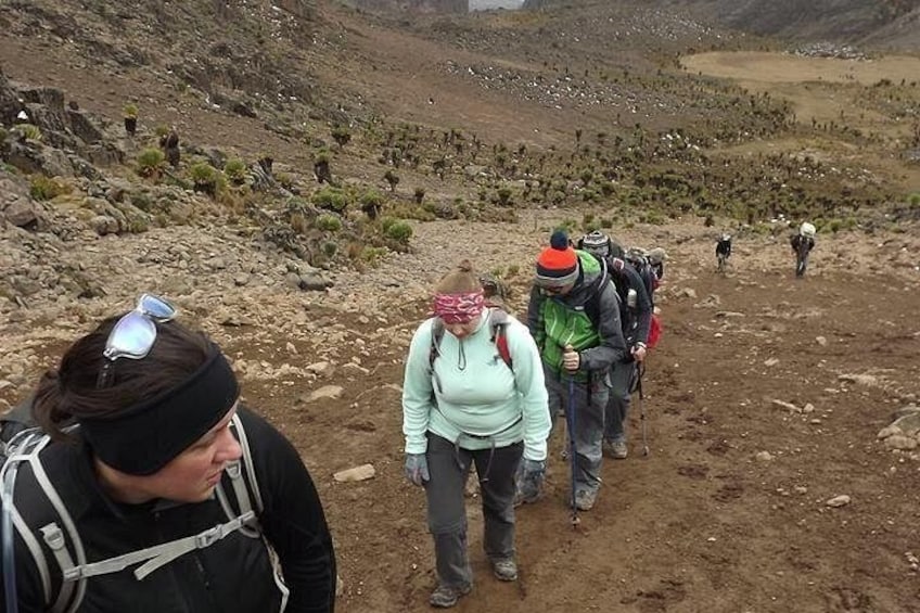 A group of hikers on a rocky trail with sparse vegetation. 4