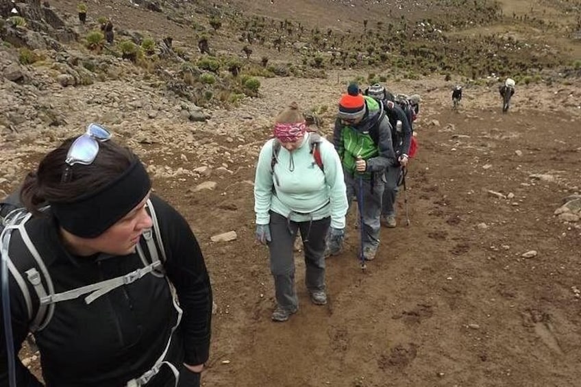 A group of hikers on a rocky trail with sparse vegetation. 3