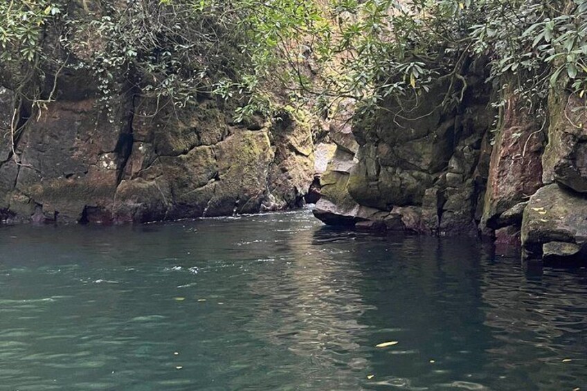 A calm river with rocky cliffs and dense foliage. 5