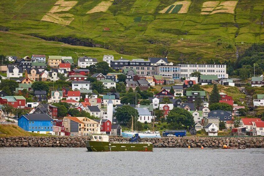 Private Shore Tour of Faroe Islands: Bird Cliffs & Villages 2