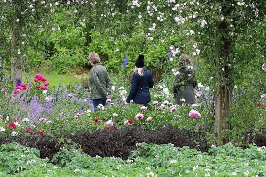 A garden with various flowers and people walking. 1