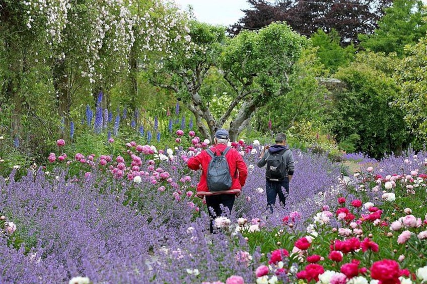 A garden with a variety of flowers and trees. 3