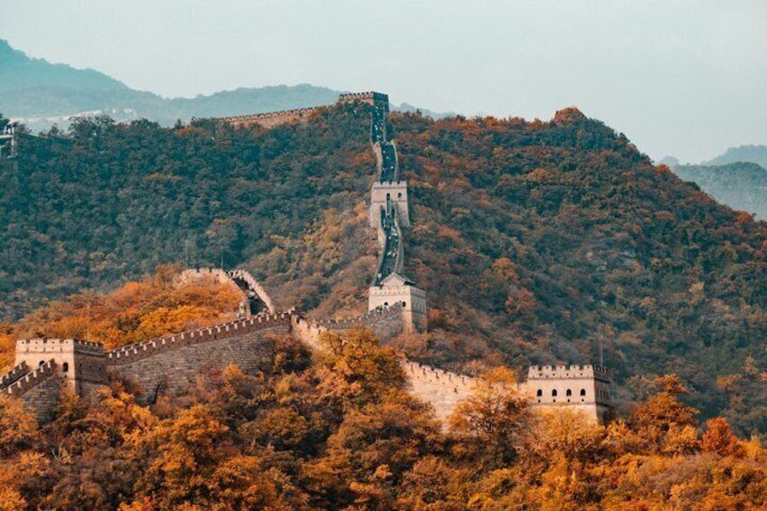 Beijing Business Interpreter & Executive Support 5