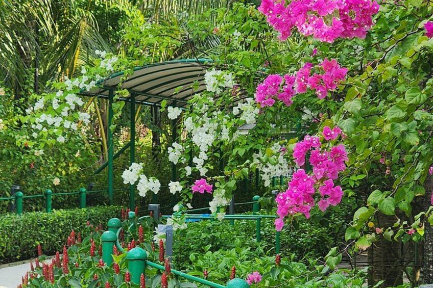 Lonuziyaaraiy park 3