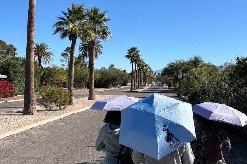 A street lined with palm trees and people under umbrellas. 2