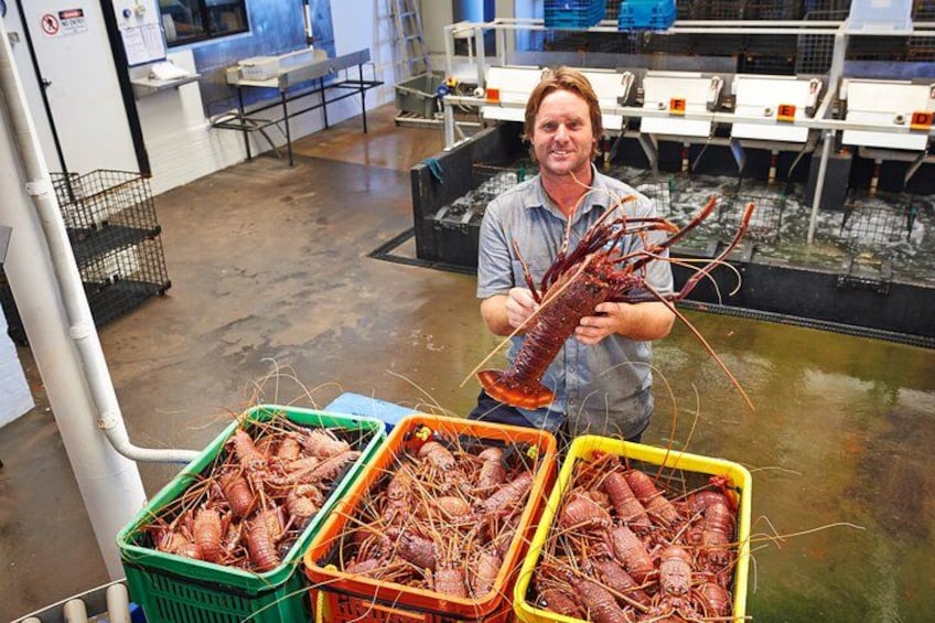 Lobster Shack Tour 2