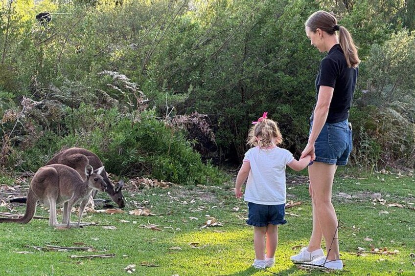 A woman and a child holding hands, with kangaroos in the background. 4