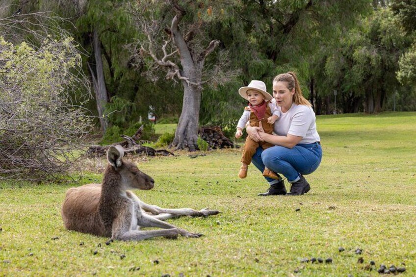 A person crouching next to a kangaroo in a grassy field with trees in the background. 2