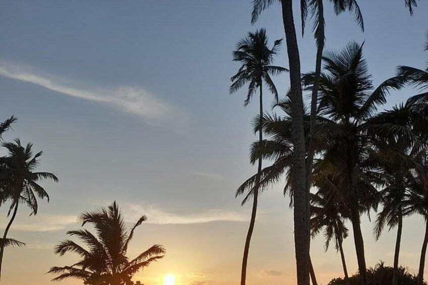 A sunset with palm trees silhouetted against the sky. 1