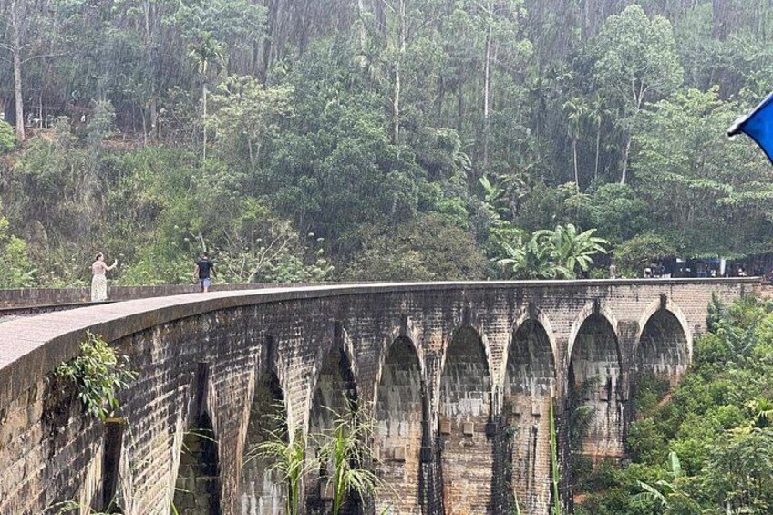 A stone bridge with arches, surrounded by dense greenery and trees. 3