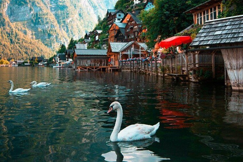 Vienna: Hallstatt Full Day Tour 3