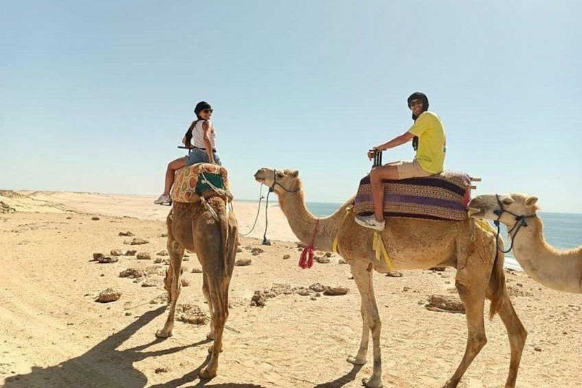 Dos personas montando camellos en una playa arenosa, con el mar al fondo. 3