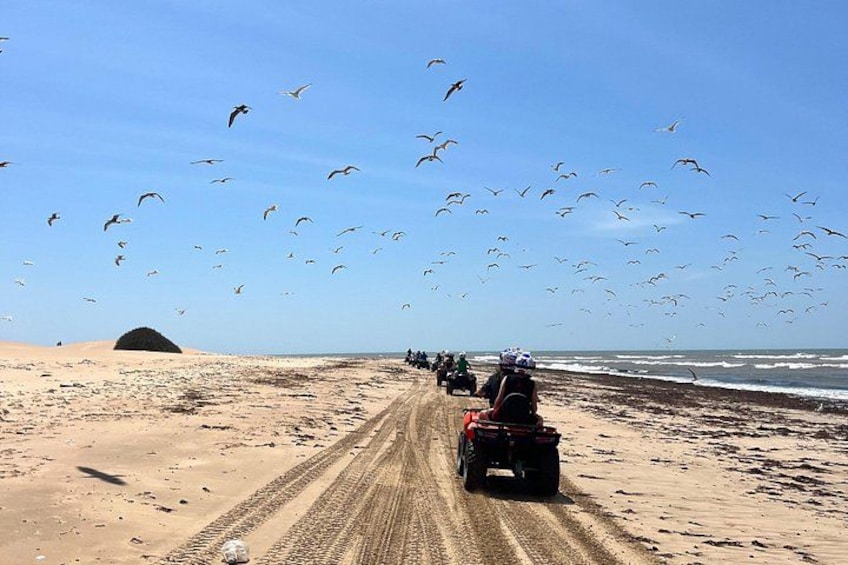 Una playa arenosa con un sendero de tierra, una duna y una fila de vehículos todo terreno. 2