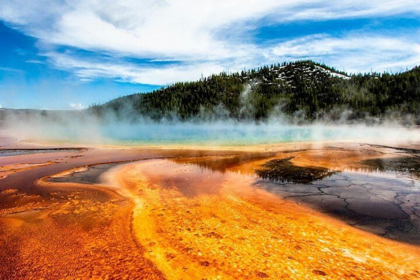 A geothermal area with hot springs, steam, and a forested hill in the background. 3