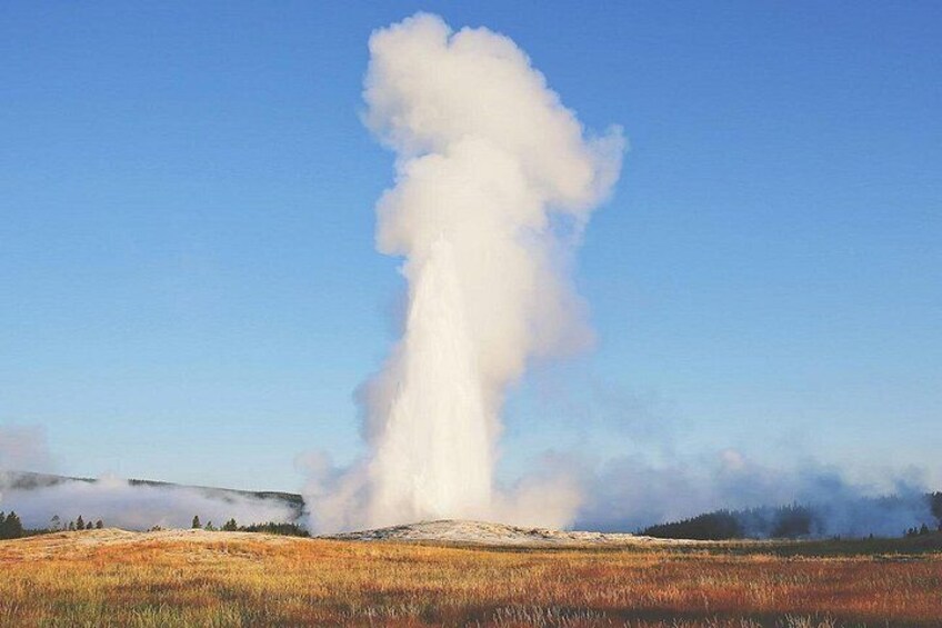 Yellowstone Grand Loop Ultimate Self-Guided Driving Tour 3