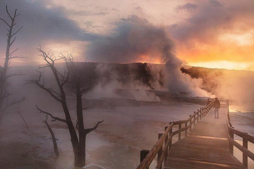 Yellowstone Grand Loop Ultimate Self-Guided Driving Tour 2