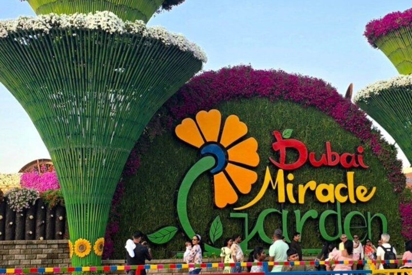 Dubai Miracle Garden Entry Ticket with Transfer Option 1