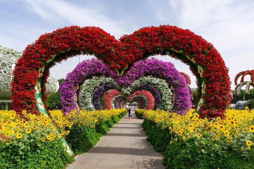 Dubai Miracle Garden Entry Ticket with Transfer Option 5