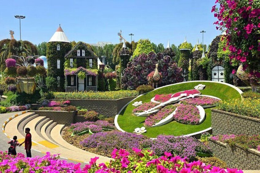 Dubai Miracle Garden Entry Ticket with Transfer Option 4