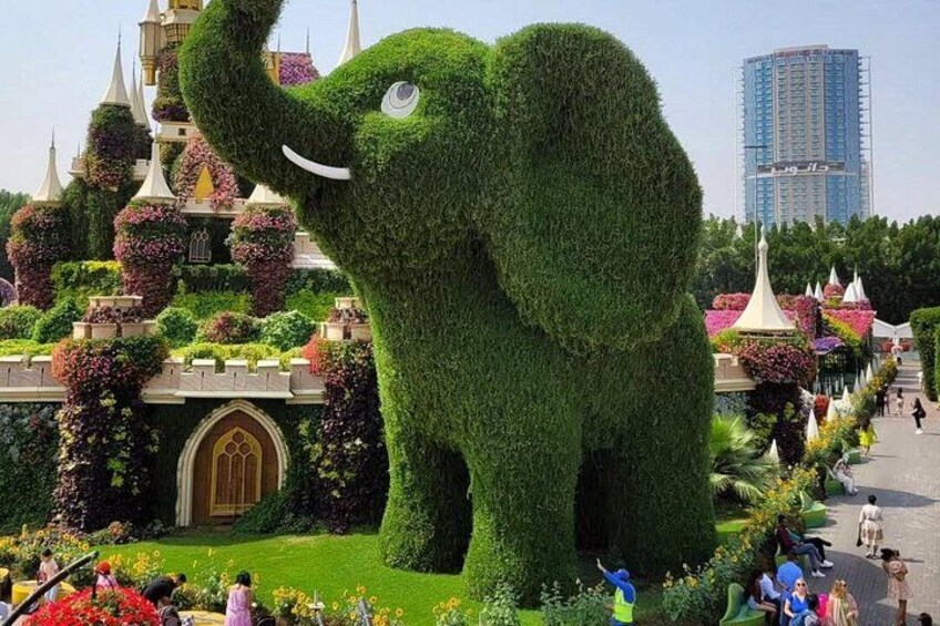 Dubai Miracle Garden Entry Ticket with Transfer Option 4