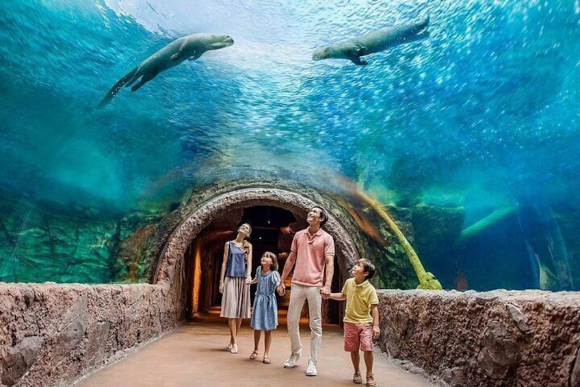 River Wonders Admission Pass in Singapore 4