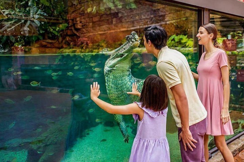 River Wonders Admission Pass in Singapore 2