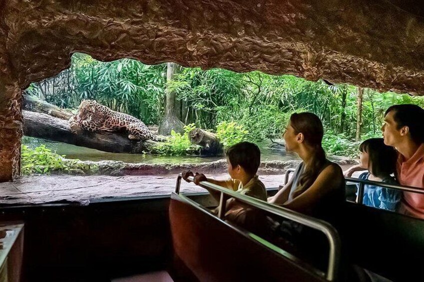 River Wonders Admission Pass in Singapore 5