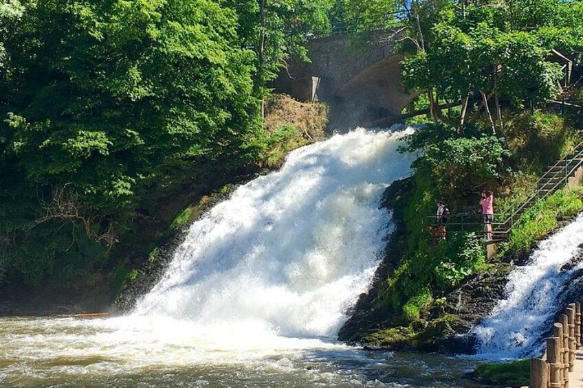 A waterfall surrounded by lush greenery and a wooden staircase. 3