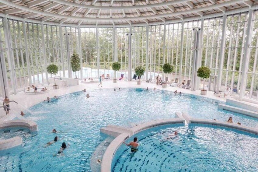 An indoor swimming pool with multiple lanes, surrounded by large windows and potted plants. 4