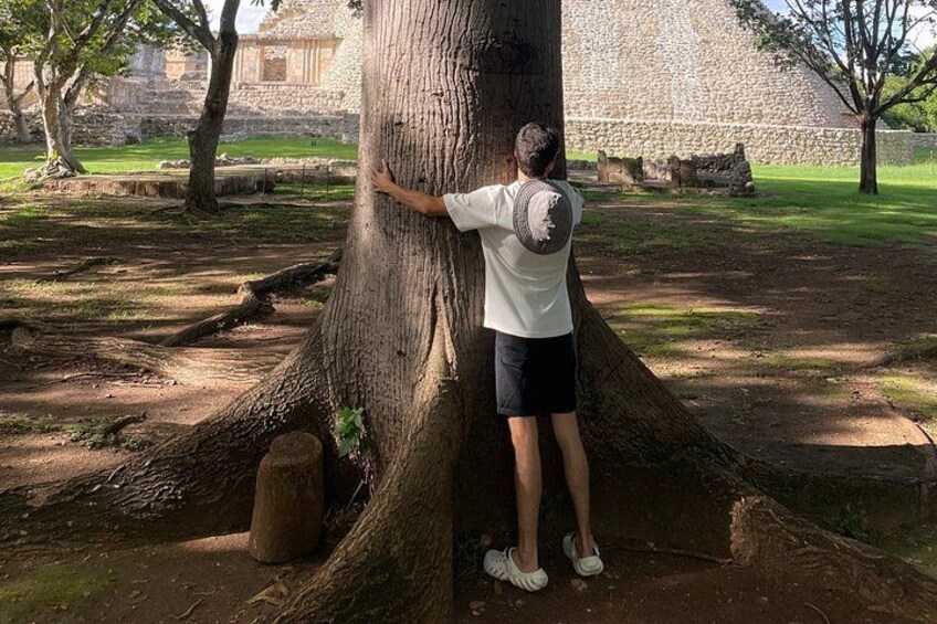Explore Uxmal, 2 Magic Cenotes and Mayan Gastronomy 3