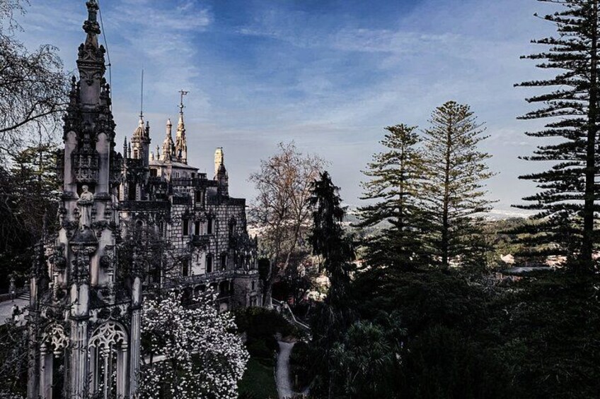 A Gothic-style castle surrounded by trees and a clear sky. 4