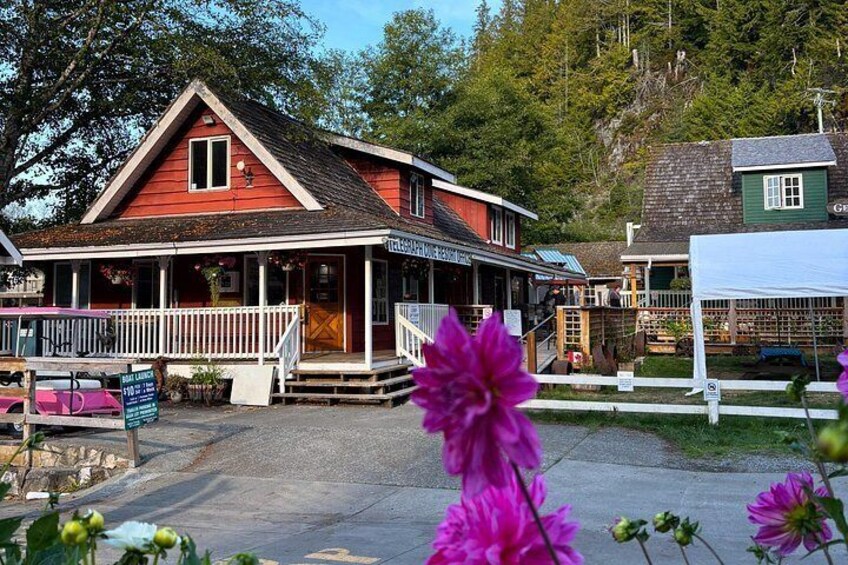 Vancouver Island: 2-Hour Guided Kayak Tour from Telegraph Cove 2