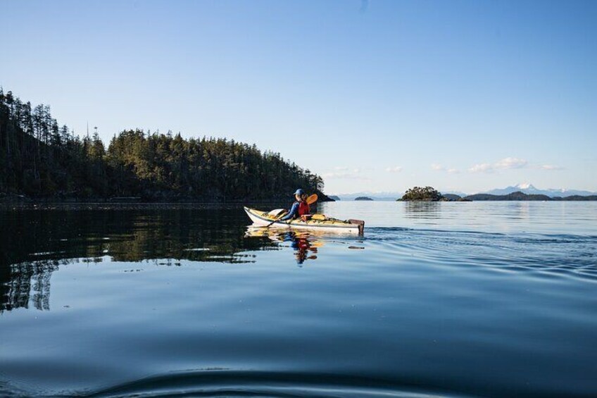 Vancouver Island: 2-Hour Guided Kayak Tour from Telegraph Cove 1