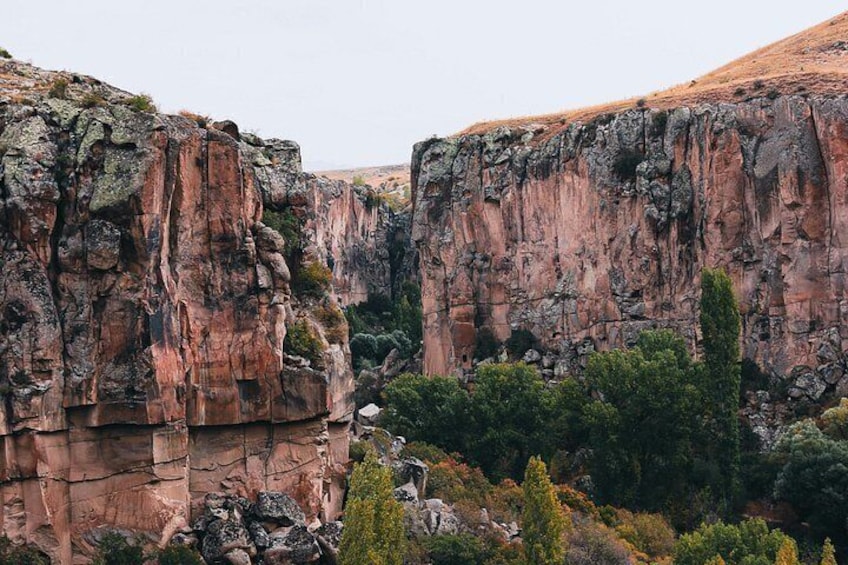 Ein Canyon mit roten Felsformationen und grüner Vegetation. 4