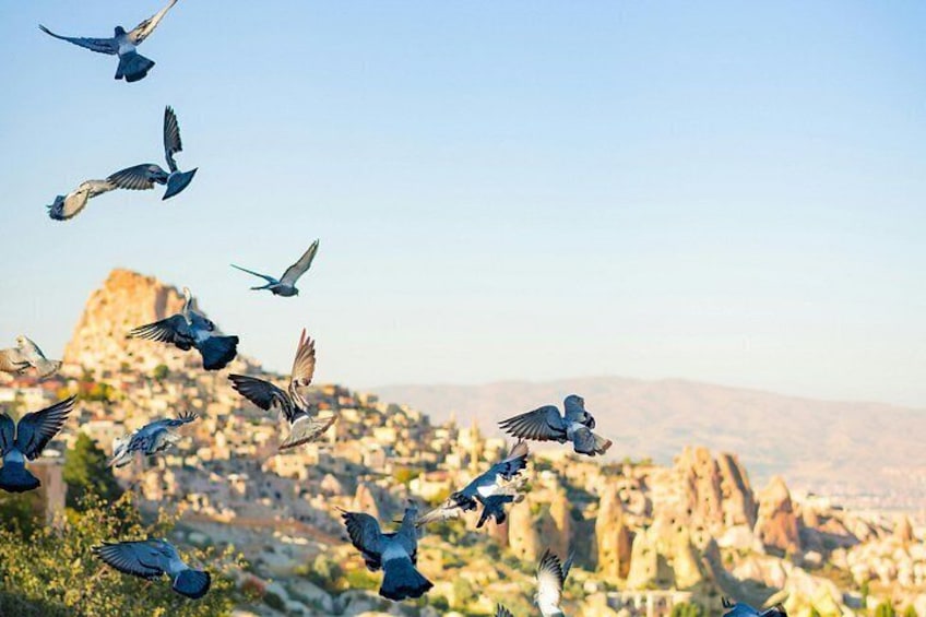 Eine Vogelschwarm fliegt über eine gebirgige Landschaft, im Hintergrund liegt eine Stadt. 2