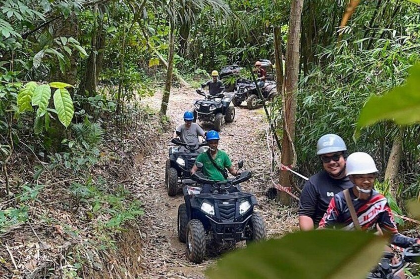 Weave through the quiet, ordered rows of a stretching rubber plantation 3