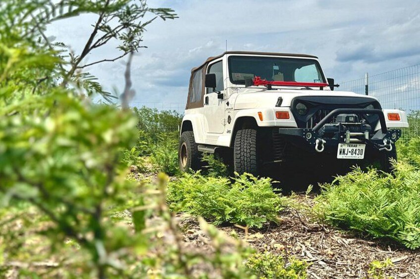 A white off-road vehicle with a Texas license plate in a natural, green environment. 3