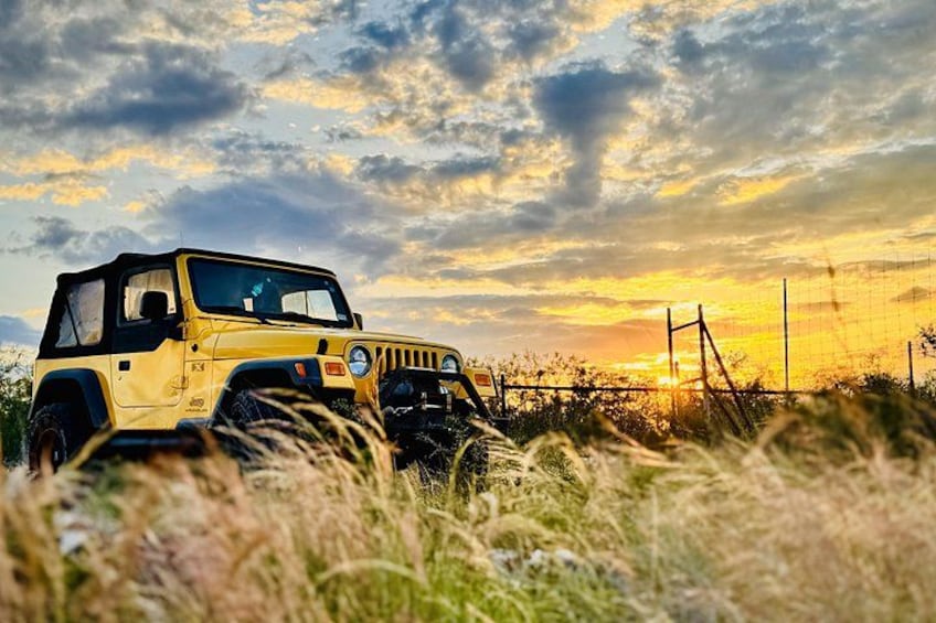 A yellow off-road vehicle parked in a field with tall grass and a sunset in the background. 1