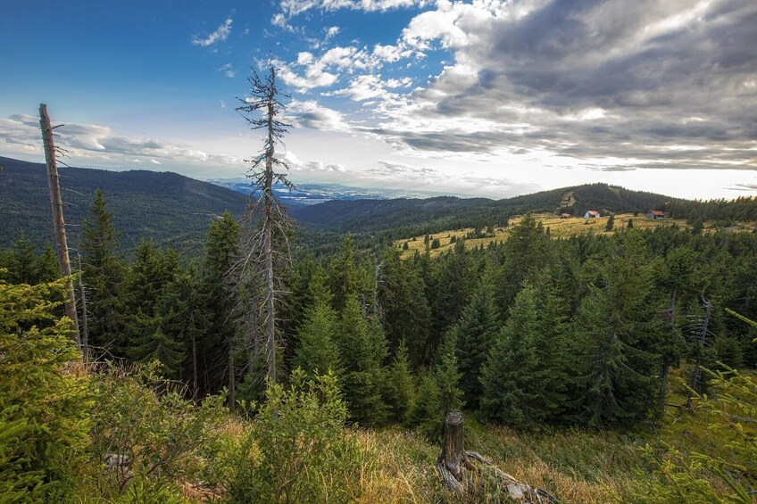 A forested mountain landscape with a clear sky. 3