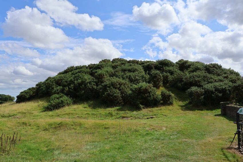A grassy field with a hill covered in trees and a small structure on the right. 5