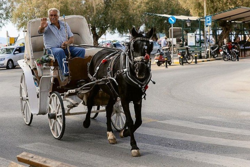 A man driving a horse-drawn carriage on a road with a pedestrian crossing. 5